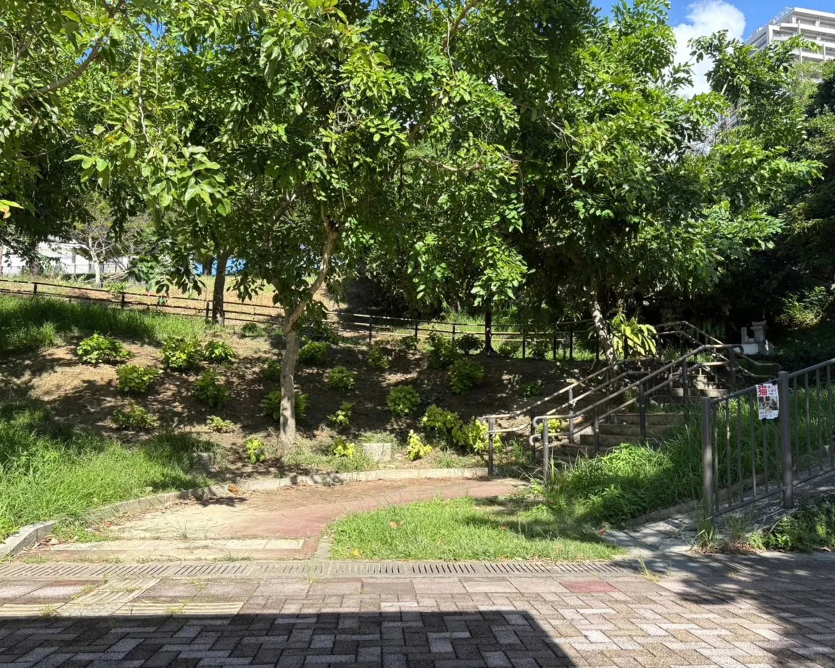黄金森(くがにむい)公園：那覇の足元