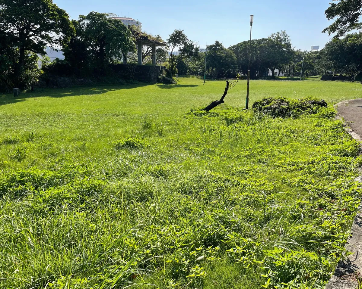 伊祖公園の遊ぶところ（2枚目）