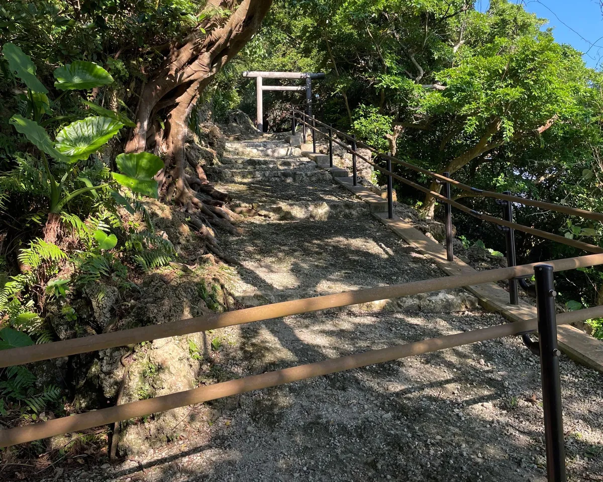 伊祖公園の足元