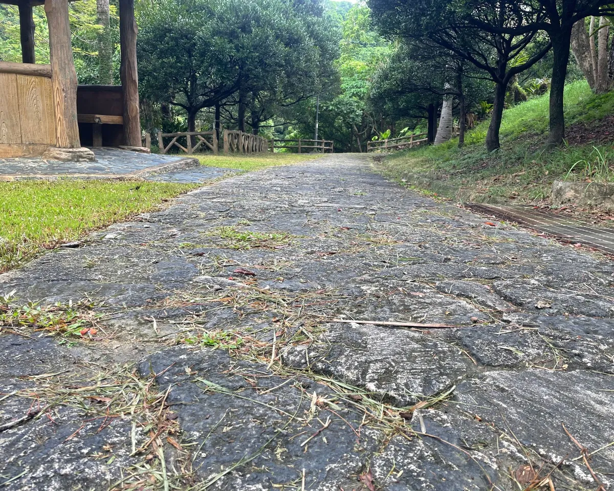 末吉公園の足元