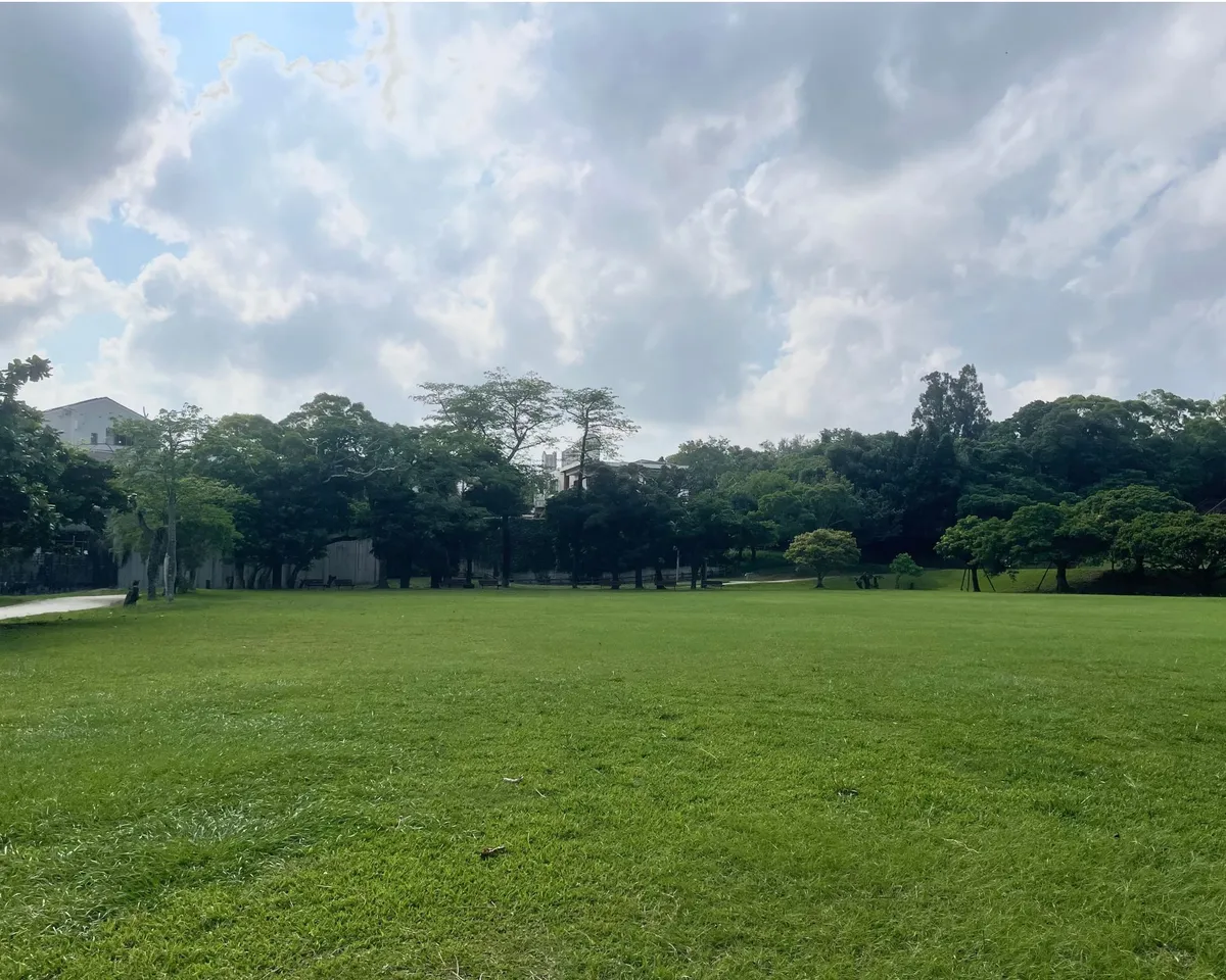 浦添大公園（憩いの広場ゾーン）の足元