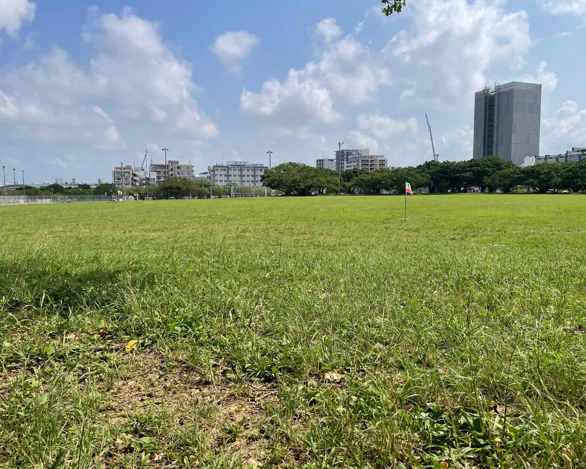 新都心公園の足元